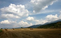 世界保龄球青年联赛赛后志愿者风采集结册发布，再度勇夺世界保龄球冠军